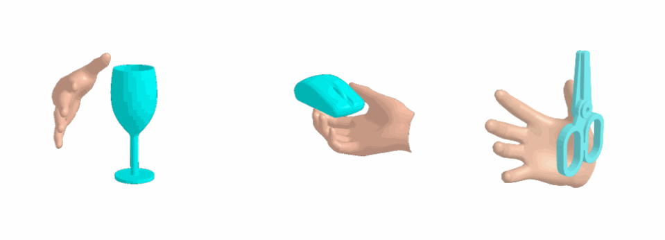 Human Hand grasping